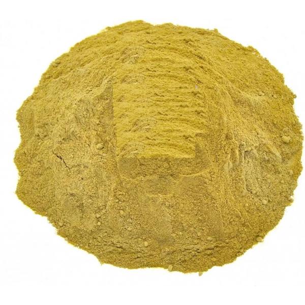 ayuga_turkestanskaya_ajuga_turkestanica_jivuchka_ekstrakt-197-B