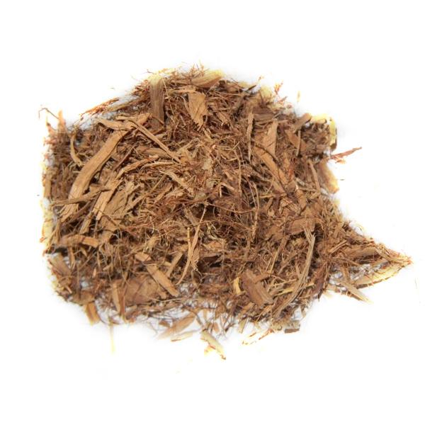 banisteriopsis_caapi_-_yellow-119-B