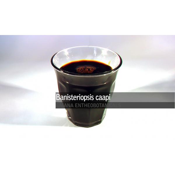 banisteriopsis_caapi_ekstrakt_h30-162-B
