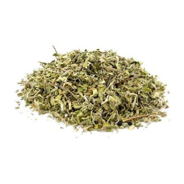 damiana_list_turnera_sjataya_damiana_turnera_diffusa-27-B