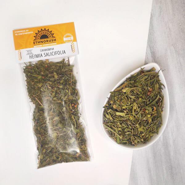 heymiya_sinikvichi__heimia_salicifolia_sinicuichi-236-B